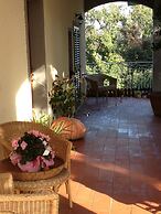 Le Tartarughe B&B