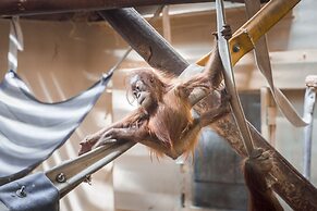 Holiday Inn Express & Suites Colorado Springs First & Main by IHG