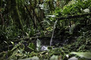 Casa Divina Eco Lodge