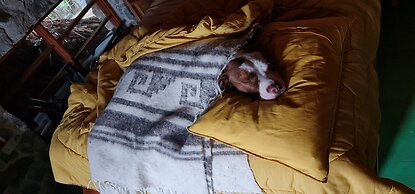 Atitlan Oasis Eco Hotel and Spa Kaalpul