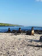 Hotel Los Algarrobos