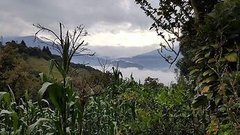 Rutun Orquídeas