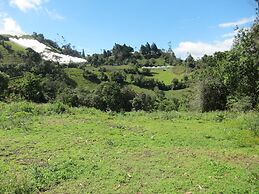 Rutun Orquídeas