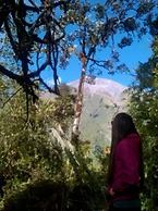 Rutun Orquídeas