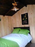 Rutun Orquídeas