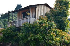 Rutun Orquídeas