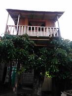 Rutun Orquídeas