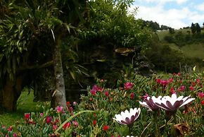 Rutun Orquídeas