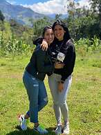 Rutun Orquídeas