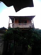 Rutun Orquídeas