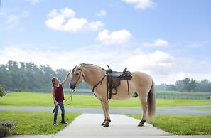 Salamander Resort And Spa