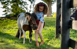 Salamander Resort And Spa