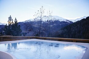 Hôtel Alpina