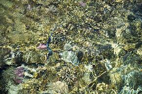 Amphoras Beach - Ultra All Inclusive