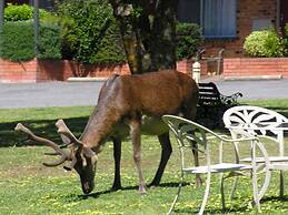 The Grampians Motel & The Views Restaurant