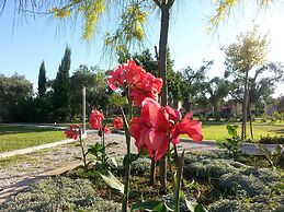 Willaria country house