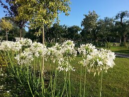 Willaria country house