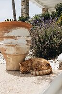 Mykonos Pantheon