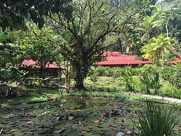 Esquinas Rainforest Lodge