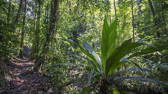 Esquinas Rainforest Lodge