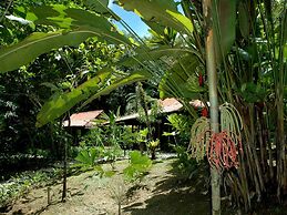 Esquinas Rainforest Lodge