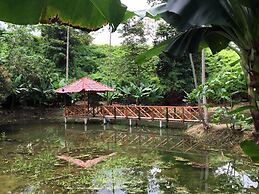 Esquinas Rainforest Lodge