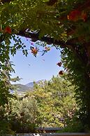 Symbola Ölüdeniz Beach Hotel