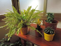 Il Girasole Bed and Breakfast