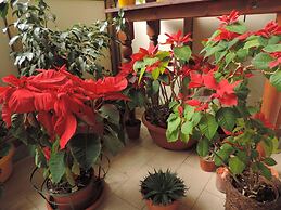 Il Girasole Bed and Breakfast