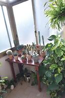 Il Girasole Bed and Breakfast