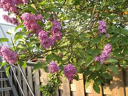 Hotel de Wilde Kriek