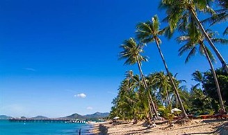 Coco Palm Beach Resort