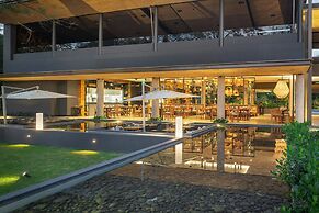 El Mangroove Papagayo, Autograph Collection
