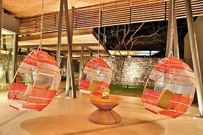 El Mangroove Papagayo, Autograph Collection