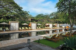 El Mangroove Papagayo, Autograph Collection