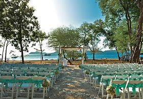 El Mangroove Papagayo, Autograph Collection