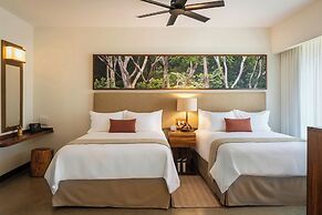 El Mangroove Papagayo, Autograph Collection