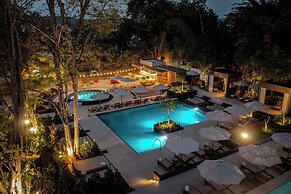 El Mangroove Papagayo, Autograph Collection