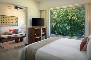El Mangroove Papagayo, Autograph Collection