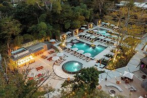 El Mangroove Papagayo, Autograph Collection