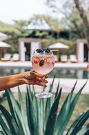 El Mangroove Papagayo, Autograph Collection