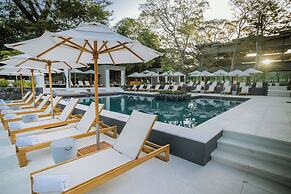 El Mangroove Papagayo, Autograph Collection