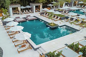 El Mangroove Papagayo, Autograph Collection