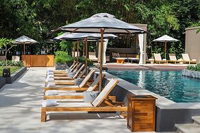 El Mangroove Papagayo, Autograph Collection