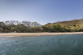 El Mangroove Papagayo, Autograph Collection