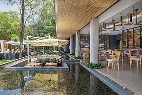 El Mangroove Papagayo, Autograph Collection