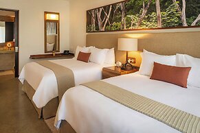El Mangroove Papagayo, Autograph Collection