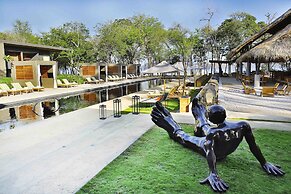 El Mangroove Papagayo, Autograph Collection