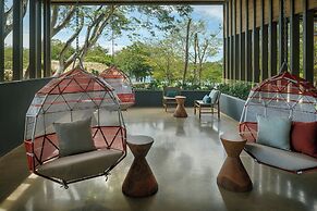 El Mangroove Papagayo, Autograph Collection