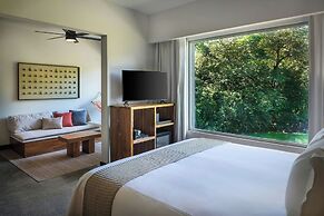 El Mangroove Papagayo, Autograph Collection